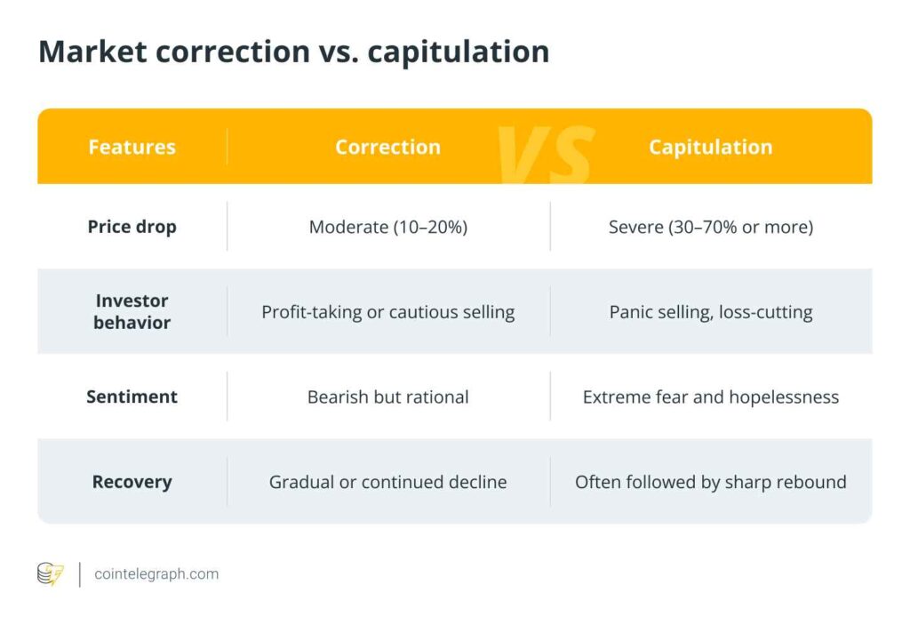 019769e4 37fa 77f1 b94e 1cb3f5de7b54 11zon